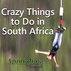 Crazy Things to Do in South Africa Videos