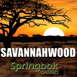 Springbok Casino Rolls Out the Red Carpet with 25 Free Spins to Celebrate the Big 5 Oscar-Worthy Stars of the Savannah